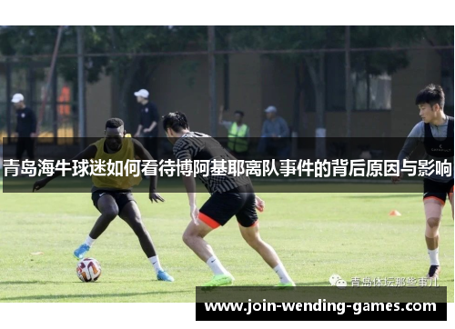 青岛海牛球迷如何看待博阿基耶离队事件的背后原因与影响 青岛海牛球迷如何看待博阿基耶离队事件的背后原因与影响